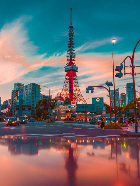 flight-destination-kingston