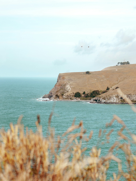 flight-destination-kingston